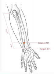 - 2 cun proximal to SJ 4
- btw the radius and the ulna 
- on the radial side of the extensor digitorum communis t.'s