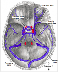 Cavernous sinus is located lateral to sella turcica (where pituitary gland sits), in middle cranial fossa. 
 
Contains:
Eye nerves and internal carotid a. 
 
- 1st 2 branches of CN V
*CN V1 (Opthalmic)
*CN V2 (Maxillary)
 
- CN III (Oculomotor)
 
...