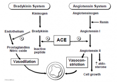 - ACE helps potentiate nitric oxide vasodilation
- ARBs are reserved for patients who can't tolerate ACE-I due to cough