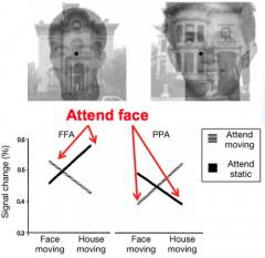 When subjects were told to fixate on the face and not the house, the brain response for the FFA was boosted. When the subjects were told to fixate on the house and not the face, the brain response for the PPA was boosted. What might be an explanat...