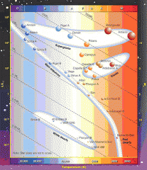 (a) Rank the following stars from the above H-R diagram in order of temperature from coolest to hottest: Arcturus, Deneb, Spica, Sun, Wolf 1346. 
(b) Rank the following stars from the above H-R diagram in order of size from largest to smallest: A...