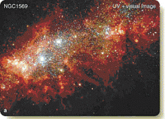 This is an image of the starburst galaxy NGC 1569. What is believed to be the cause of the recent rapid rate of star formation in this galaxy?