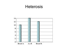 When crossbred progeny perform better than the average of the two parents for certain characters/traits. This superior performance is called HETEROSIS or HYBRID VIGOR.