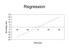 Regression Slope; a line depicting the relationship b/w phenotype (x) and breeding value (y), and can be used to predict breeding value.

THEORY OF REGRESSION; the slope of the line is measured by the covariance b/w breeding value & phenotype, divided b