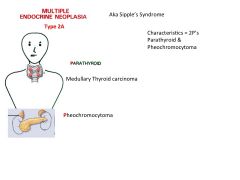 a.	Aka Sipple’s syndrome
b.	Autosomal Dominant and is assoc /c ret gene
c.	Characteristics - 2P’s (Parathyroid & Pheochromocytoma)
d.	1) Parathyroid tumors
e.	2) Pheochromocytoma
f.	3) Medullary Thyroid carcinoma (secretes calcitonin)
