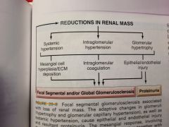 A. once GFR reduced to 30-50% of nl, progression ot EDRF CONSTANT
b. focal segmental glomerulosclerosis: initiated by adaptive change. compensatory hypertorphy of unaffect glomerli maintain renal fxn in diseased kidenys but proteinuria and segmental glom