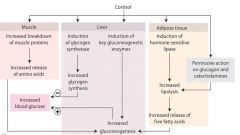 Cortisol Physiological Effects: make sugar (inc glucose plasma)