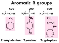 Aromatic R