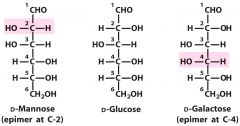 D-Glucose - Mannose - Galactose