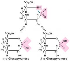 alpha vs beta Glucopyranose - an anomeric pair