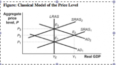 5. (Figure: Classical Model of the Price Level) Refer to the information in the figure. If the central bank increases the money supply such that aggregate demand shifts from AD1 to AD2, according to this classical model, real GDP would:
A) not change.
B
