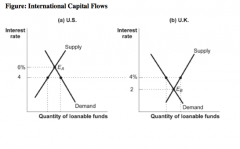 167. (Figure: International Capital Flows) Refer to the information in the figure. Assume that each country's loanable funds market is such that its equilibrium interest rate is 4%. Which of the following is likely to be the next logical step to reconcile
