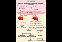 *  Rh is used because its blood cell antigen was first discovered in the blood of Rhesus monkeys.
*  Rh factor - which is a different type of antigen located on the surface of the red blood cells
*  Rh factor is either present or absent from everyone's 