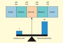 *  scale that represents the relative acidity or alkalinity of a substance
*  Mathematical expression of H+ concentration (acidity); pH value higher that 7 is a base, pH value less than 7 is acidic, and a pH of 7 is neutral
*  All chemical reactions in 