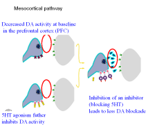 Normally, serotonin at the 5HT2A receptor decreases dopamine activity (which is already too low in scz patients). 

An atypical antipsychotic would inhibit the inhibition of dopamine by serotonin--> Less DA blockade
