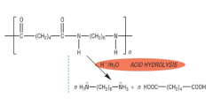 A dicarboxylic acid and the
ammonium salt of the diamine
H+/H20
 