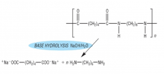 The sodium salt of the dicarboxylic acid and
the diamine
NaOH/H2O 
 
