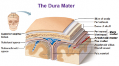 A dura mater invagination that descends vertically in the longitudinal fissure between brain hemispheres