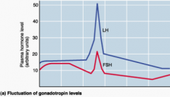 FSH peaks when the follicle cells/granulocytes went through.
LH peaked when the egg is released.