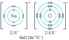 The Na has lost an electron so it is a positive ion now. The Cl has gained an electron (the x) so it is a negative ion now. This is a dot and cross diagram