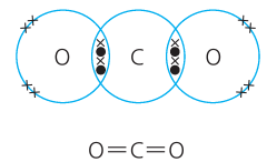 There can be double bonds and even triple bonds. Double bonds are signified with O=O, triple bonds are signified with N≡N.