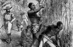 Before the passing of this amendment, it was legal for citizens of the United States to own African-American slaves. This amendment granted African-American's freedom from slavery and made it illegal for any United States citizen to own a negro sl...