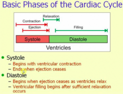 - Systole: begins with ventricular contraction, ends when ejection ceases
- Diastole: begins when ejection ceases as ventricles relax, ventricular filling begins after sufficient relaxation occurs