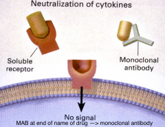 -a soluble receptor can be used to bind to the cytokine and prevents the cytokine from binding to the cytokine receptor
-a monoclonal antibody can also be used, it has a similar means of action