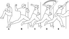 The RCT in an overhead throwing athlete is most susceptible to tensile failure due to eccentric loading during which of the phases of throwing Fig? 1-A; 2-B; 3- C; 4-D; 5-E