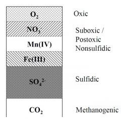 Först kommer syrgas (O2) och när det är slut övergår det till nitrat (NO3 -), mangan (Mn 5+), järn-3 (Fe 3+), sulfat (SO4 2-), koldioxid (CO2)