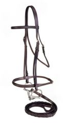 English Bridle: Browband/cavesson, D-ring snaffle, braided reins