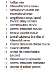Origin: ribs 1-9
Insertion: vertebral border of scapula
Innervation: long thoracic nerve
Action: abduction (protraction), upward rotation of scapula