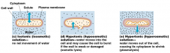 isotonic
 
hypertonic
 
hypotonic
