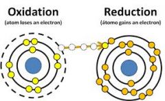 Is the loss of electrons or an increase in oxidation state by a molecule atom or iron reduction is the gain of electrons.