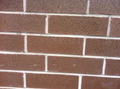This brick wall has ________ (shape) on it. 