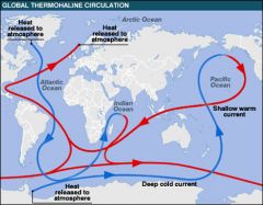 What does the gulf stream do and why?