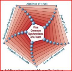 • Absence of Trust
• Fear of Conflict
• Lack of Commitment
• Avoidance of Accountability
• Inattention to Results
