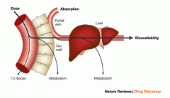 First Pass Effect – Drug passes through liver before entering systemic circulation; Chemical and biological barriers in GI environ (Week 1)

Some drugs do not go directly into the systemic circulation following oral absorption but pass from the intestin