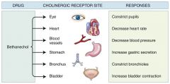 Cholinergic receptors are located in the bladder, heart, blood vessels, lungs, and eyes. A drug that stimulates or blocks the cholinergic receptors affects all anatomic sites of location. Drugs that affect various sites are nonspecific drugs and have prop