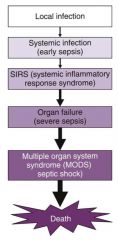 Septic shock is the stage of sepsis and SIRS when multiple organ failure is evident and uncontrolled bleeding occurs (see Fig. 39-4). Even with appropriate intervention, the death rate among patients in this stage of sepsis exceeds 50% (Toussaint & Gerlac