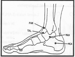 Tibialis Anterior
Inferior to MEDIAL MALLEOLUS, 1" arc, or in tibialis anterior muscle
Pt lies on side, opposite dysfunction, with foot off table. Place rolled up towel beneath distal tibia. 
INVERSION  with force from lateral ankle. Fine tune with sli