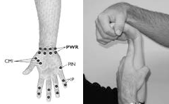 Palmar surface of the carpals	Palmar flex wrist over tender point. Fine tune with pronation or supination and radial/ulnar deviation.
