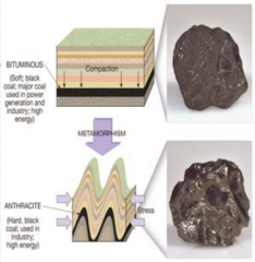 Bituminous
* Deeper burial results in heavier compaction which produces Bituminous Coal

Anthracite
* Metamorphosed version of bituminous coal which is very hard, black, and shiny.