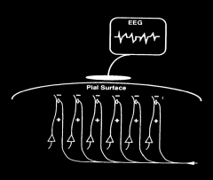 Graphical depiction of cortical electrical activity 
 - Electrical field generated by similarly oriented pyramidal cells in cortex (layer 5) and detected by scalp electrode 
Records voltage differences from points on the scalp 
Relates to synchronous a