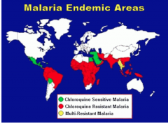 - In  1950’s,  WHO  sponsored  a   DDT/chloroquine eradication plan
- initially great success
- insects and parasites rapidly became resistant to both interventions
- Chloroquine sensitive: Central America west of Panama Canal, Haiti & Dominican Republ