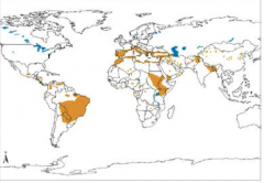 The distribution above is most associated with what form of Leishmaniasis?