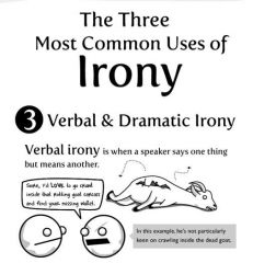 Irony involves saying one thing while really meaning another, contradictory thing