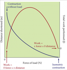 - isotonic contractions show that muscle shortens the greatest distance with no load 
- shortens progressively shorter distances with increasing loads
- multiply the force developed by distance shortened for each load gives a curve that represents work 