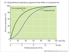 - shape of oxygen equilibrium curve depends on oxygen binding site cooperativity