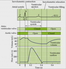 - cardiac output is volume of blood per unit time
- vertebrate cardiac output is volume of blood in left ventricle to systemic circulation
- product of heart rates in beats per minute
- stroke volume is volume of blood pumped per cardiac cycle